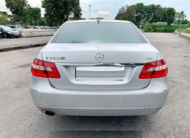 2010 MERCEDES-BENZ E-CLASS full